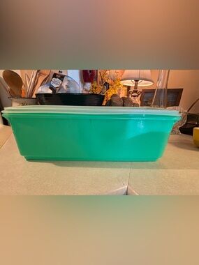 Tupperware Jadeite green celery and vegetable keeper. Vintage